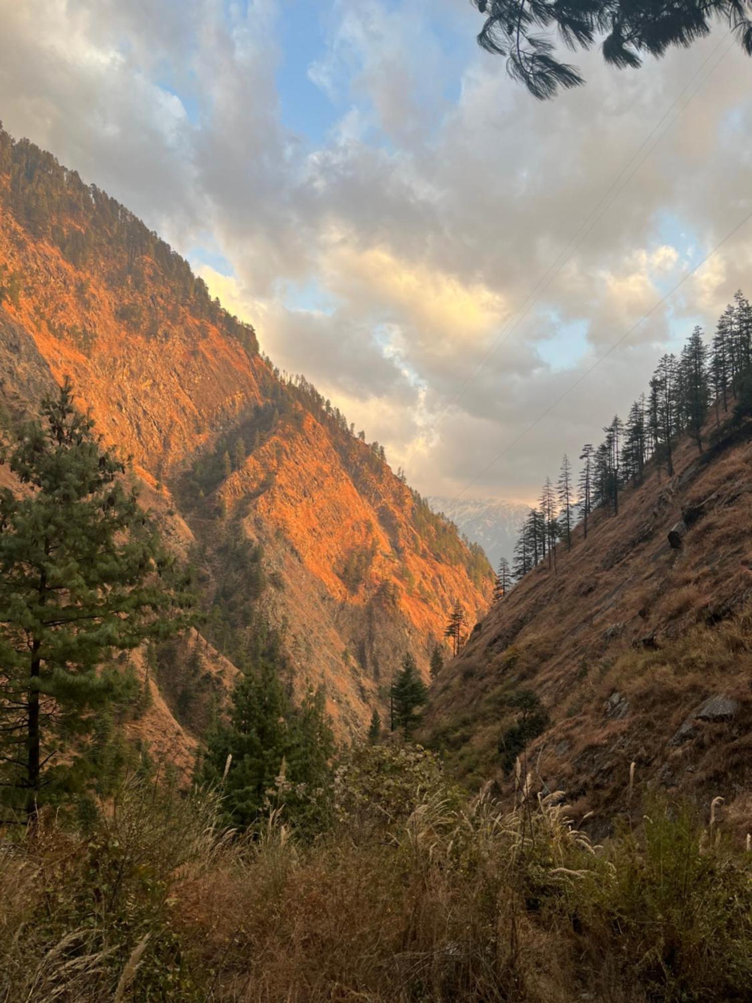 The Trippy Hills Hotel Kasol Exterior foto